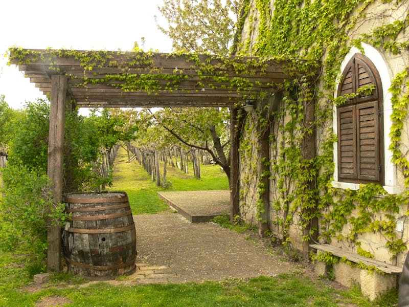 Weindorf Etyek in Ungarn - ©Zoltan - stock.adobe.com