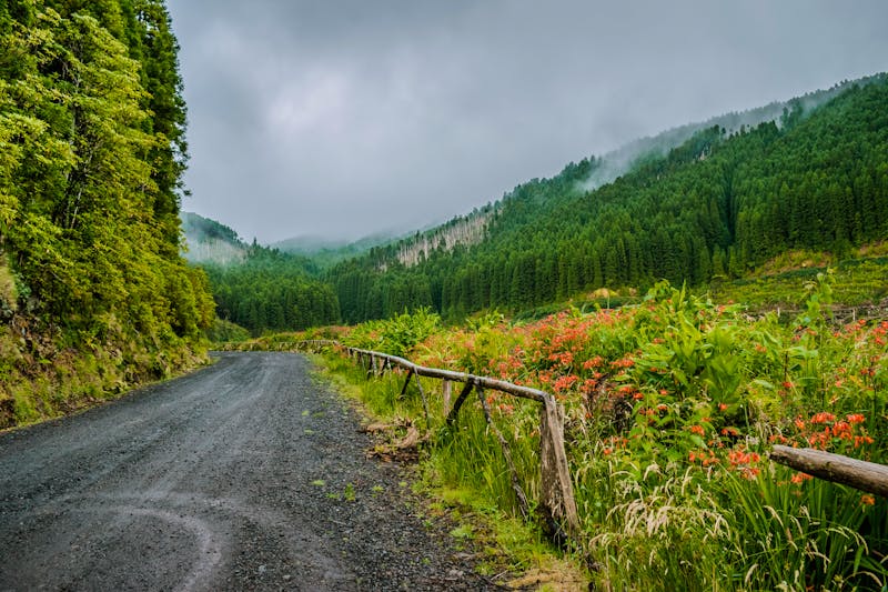 Pico da Vara auf der Insel Sao Miguel, Portugal - ©Liliana - stock.adobe.com