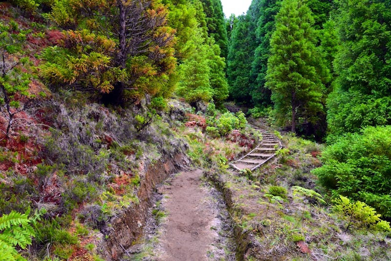 Pico da Vara auf der Insel Sao Miguel, Portugal - ©fmb - stock.adobe.com