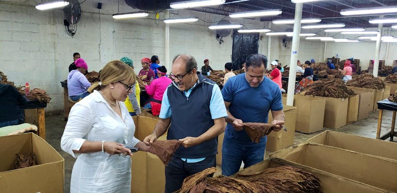 Zigarrenmanufaktur in Santiago, Dominikanischen Republik - ©Dominican Expert