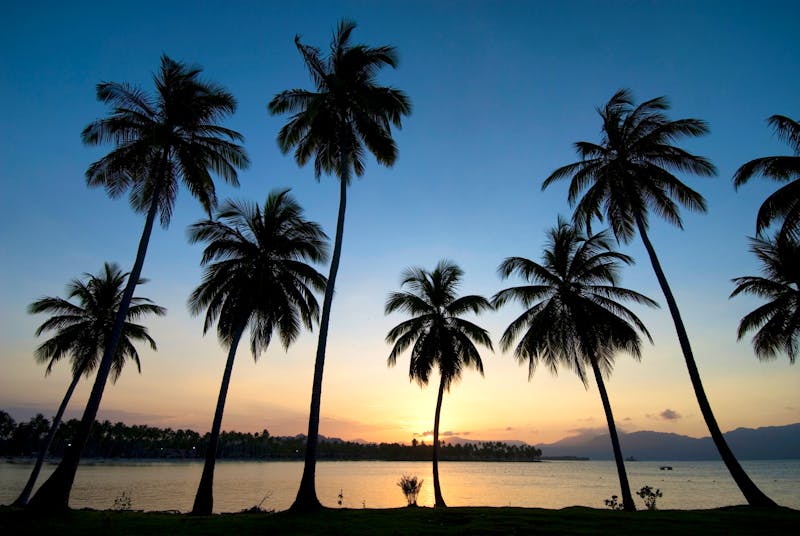 Samana in der Dominikanischen Republik - ©Ian Cumming