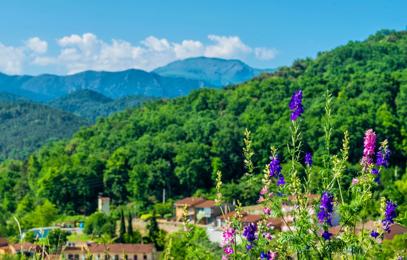 Wanderung bei Castellfollit de la Roca  - ©Sebastian - stock.adobe.com