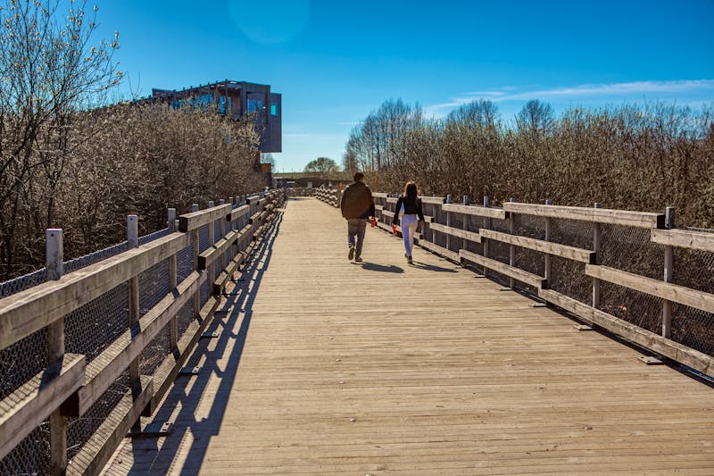 Naturum Vattenriket in Kristianstad, Schweden  - ©StellaSalander - stock.adobe.com