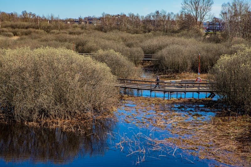 Naturum Vattenriket in Kristianstad, Schweden  - ©StellaSalander - stock.adobe.com