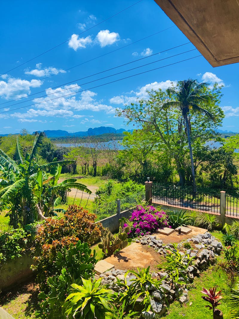 Casa Prima El Rosario - ©Rebekka Boehme