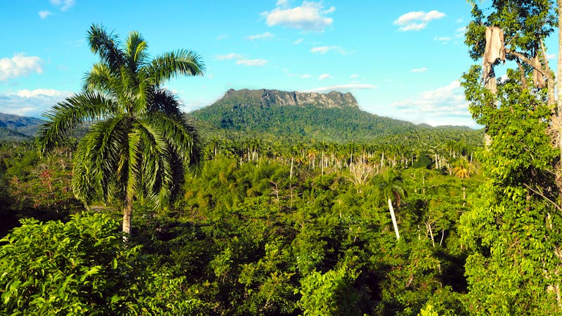 Tafelberg El Yunque bei Baracoa  - ©Patrick - stock.adobe.com