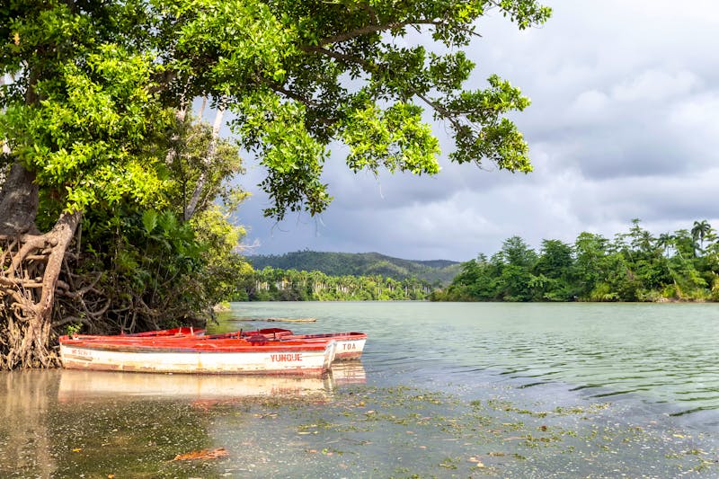 Yunque Naturpark bei Baracoa - ©Christian Kaehler - stock.adobe.com