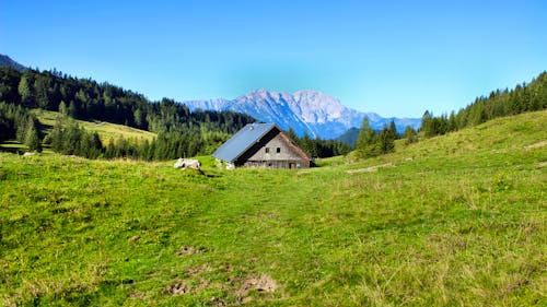 Alm im Tennengau &ndash; &copy; reinhold2013 - stock.adobe.com