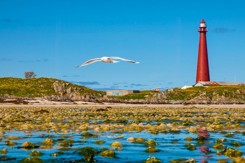 Leuchtturm von Andenes auf der Insel Andoya in Vesteralen - ©wim - stock.adobe.com