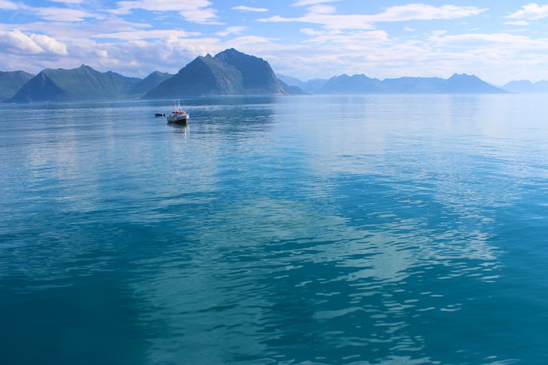 Schifffahrt nahe der Insel Senja in Norwegen - ©Stefanie - stock.adobe.com