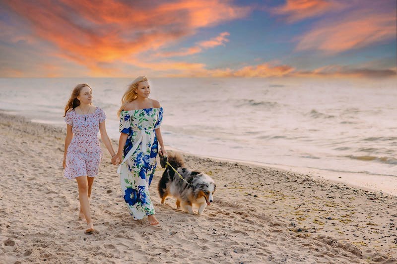 Strandspaziergang mit Hund – ©copyright www marekkoprowski com