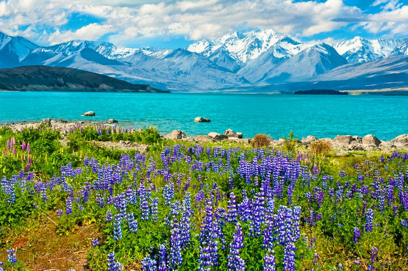 Lake Tekapo in den Südalpen - Neuseeland - &copy;Fyle - stock.adobe.com