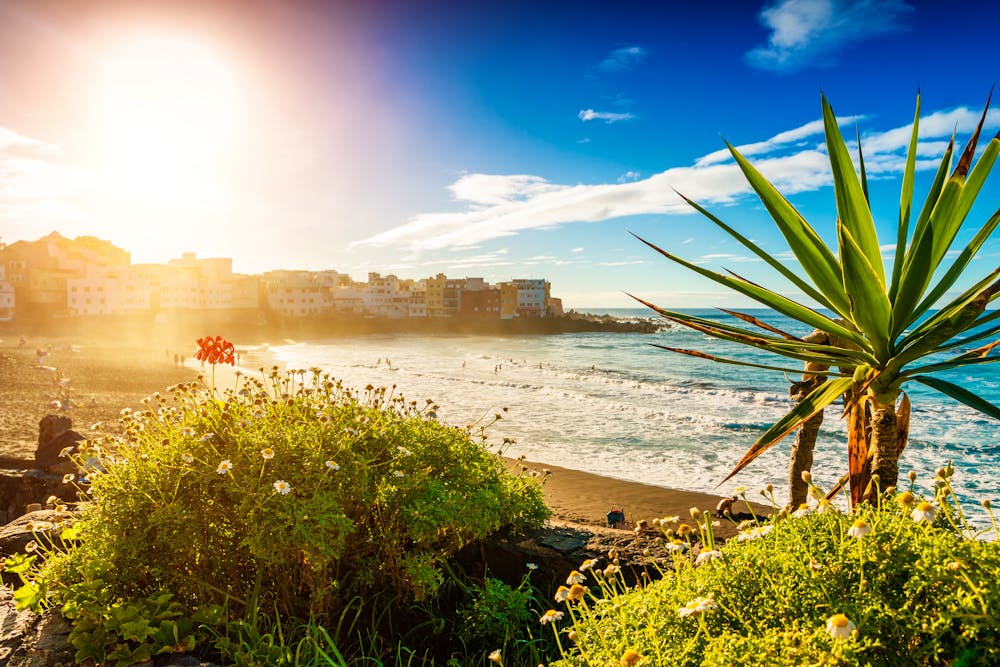 Playa de las Américas auf Teneriffa &ndash; &copy; engel.ac - stock.adobe.com