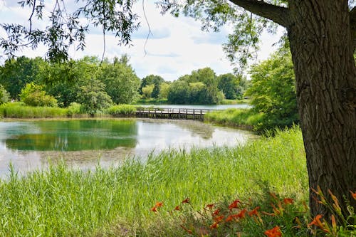 Berlin - Britzer Garten &ndash; &copy; Komwanix - stock.adobe.com