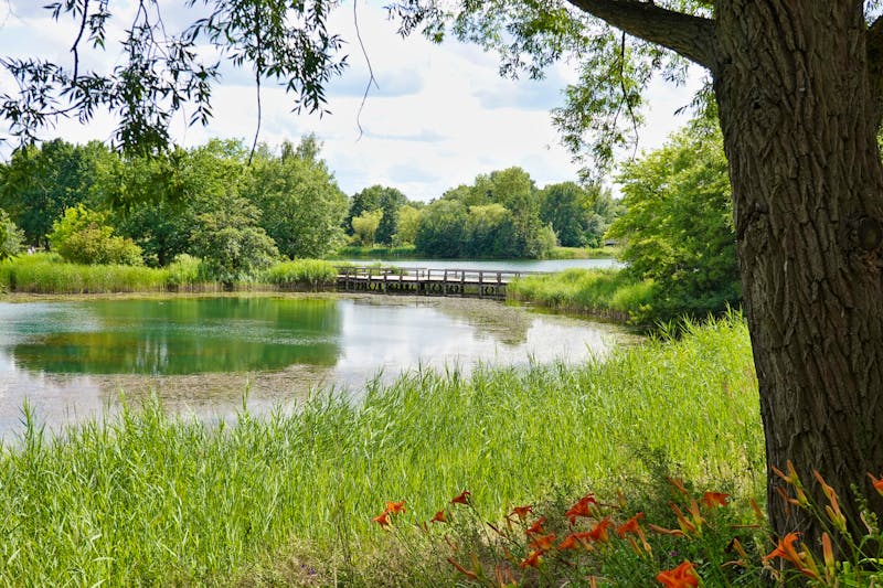 Berlin - Britzer Garten - ©Komwanix - stock.adobe.com