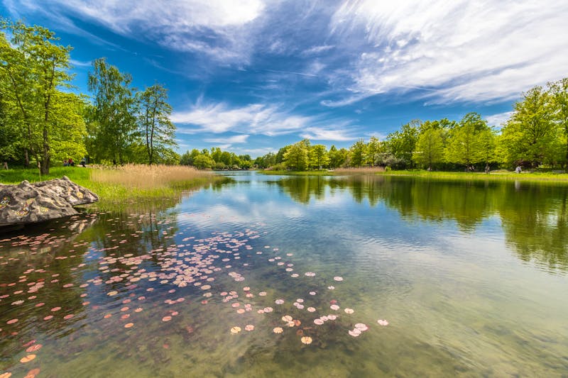 Berlin - Britzer Garten - ©W.Bitzker Goetzstr. 11a 12099 Berlin Germany