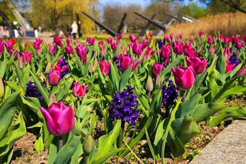 Berlin - Britzer Garten &ndash; &copy; Ina Meer Sommer - stock.adobe.com