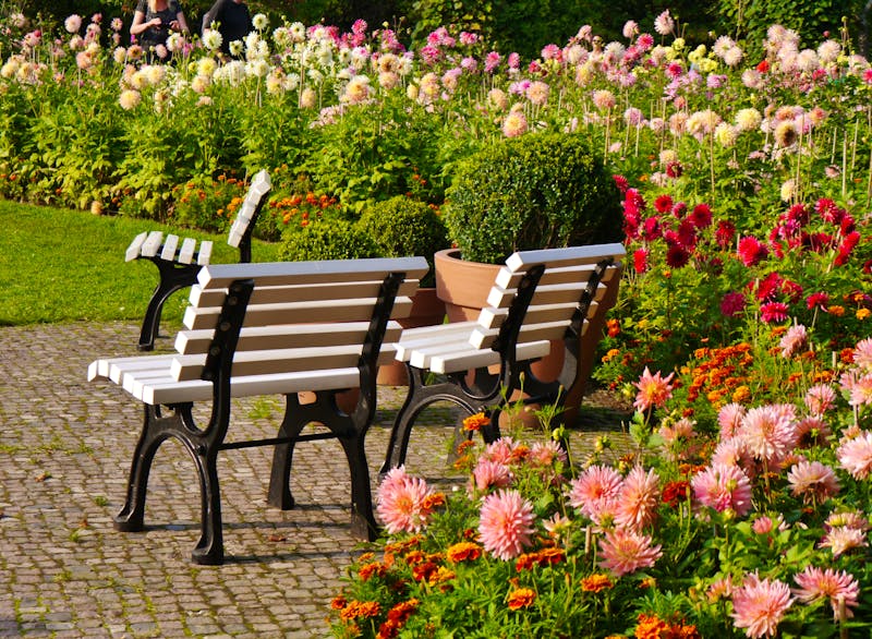Berlin - Britzer Garten - Parkbänke zwischen Dahlienblüten - ©Clarini - stock.adobe.com