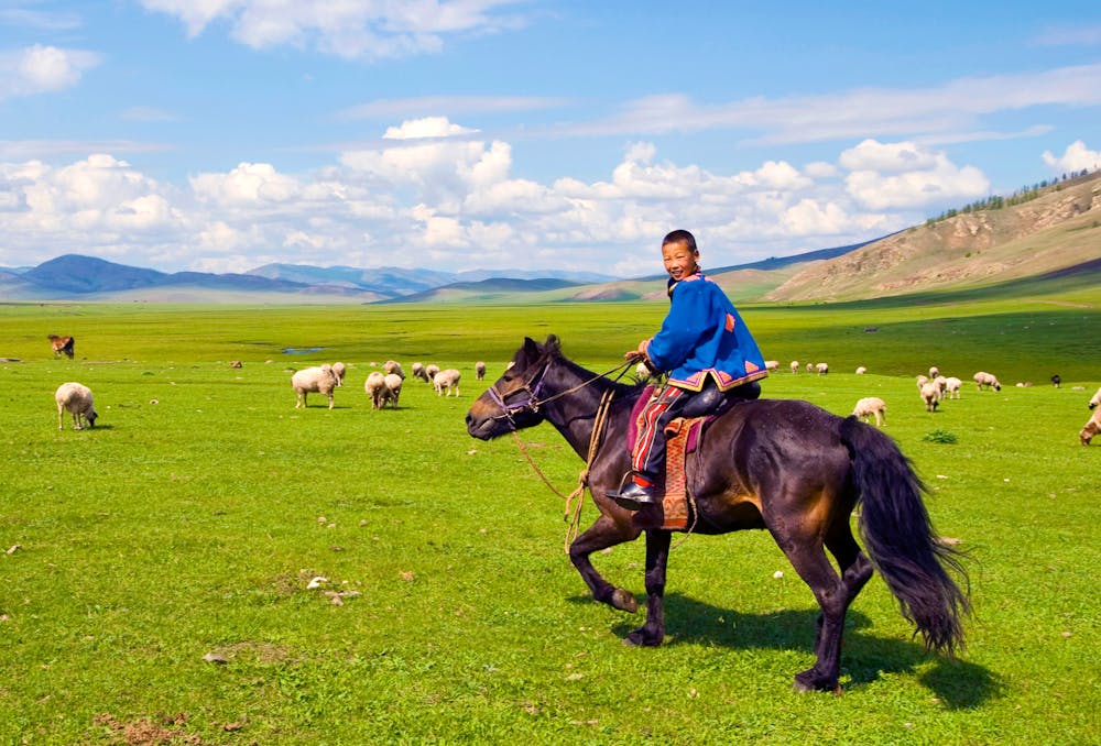Mongolischer Junge reitet auf seinem Pferd durch die Steppe und hütet Schafe &ndash; &copy; Rawpixel.com - stock.adobe.com