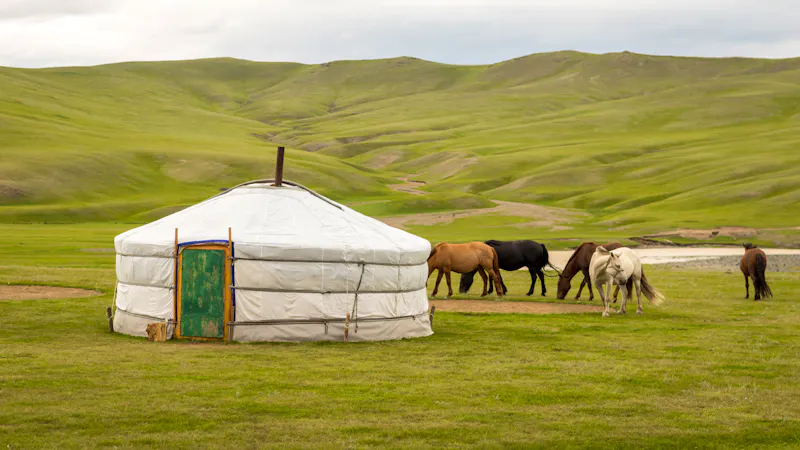 Pferde an einer Steppe in der mongolischen Steppe - &copy;Mathias - stock.adobe.com
