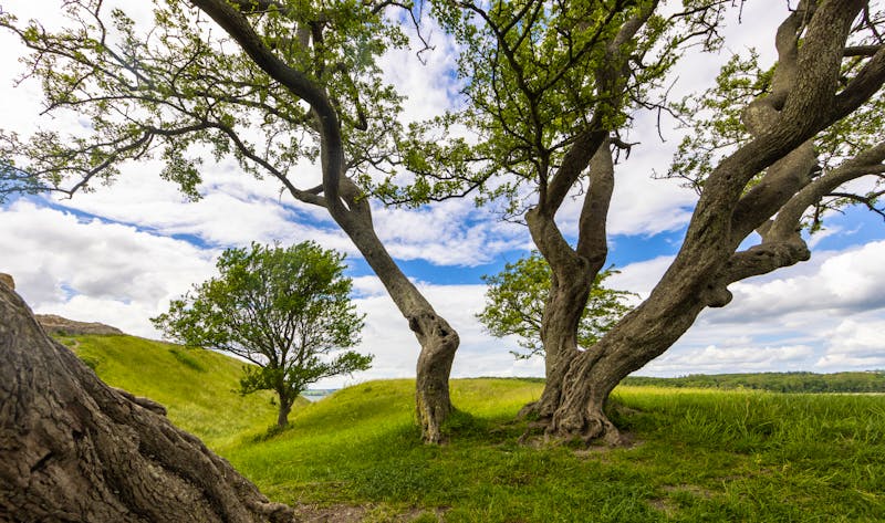 Nationalpark Mols Bjerge, Dänemark - ©barbarico - stock.adobe.com