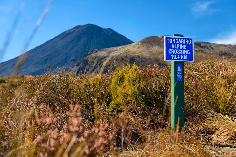 tongariro-crossing neuseeland - &copy;artepicturas - stock.adobe.com