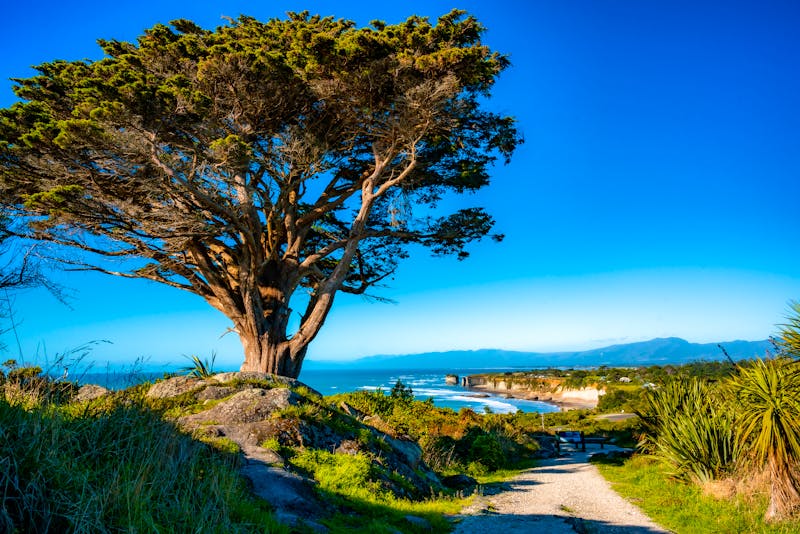 Blick auf das Cape Foulwind in West Post NZ  - &copy;Kritz Workroom NZ - stock.adobe.com