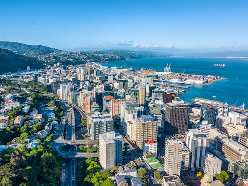 Vogelperspektive auf Wellington in Neuseeland &ndash; &copy; Joshua Daniels - stock.adobe.com