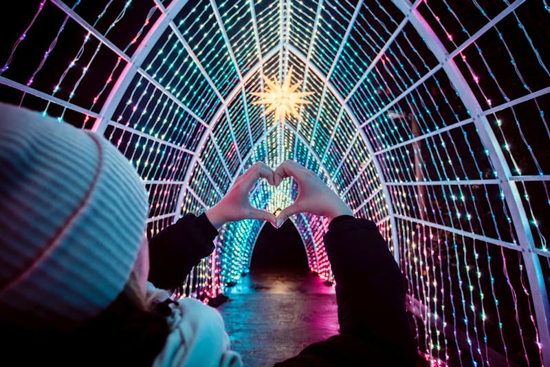 Christmas Garden 2023 Kathedrale  - ©ChristmasGarden Dennis Reimann