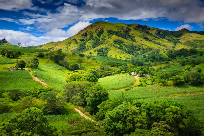Wälder auf Fidschi - &copy;Radek - stock.adobe.com
