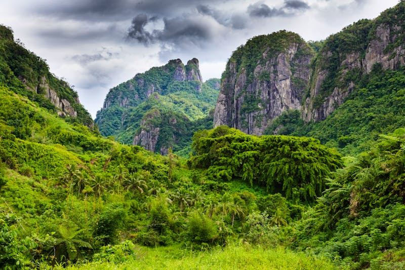 Wälder auf Fidschi - &copy;Radek - stock.adobe.com