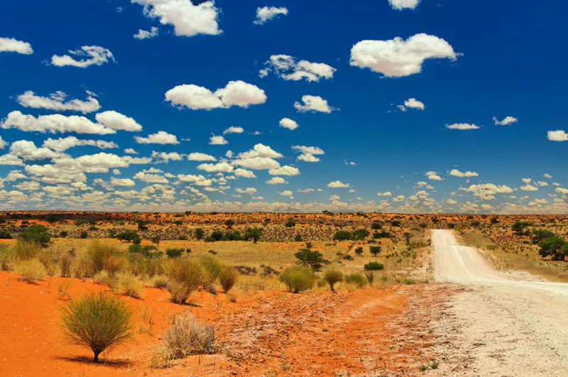 Straße durch die Kalahari - &copy;Pescatore - stock.adobe.com