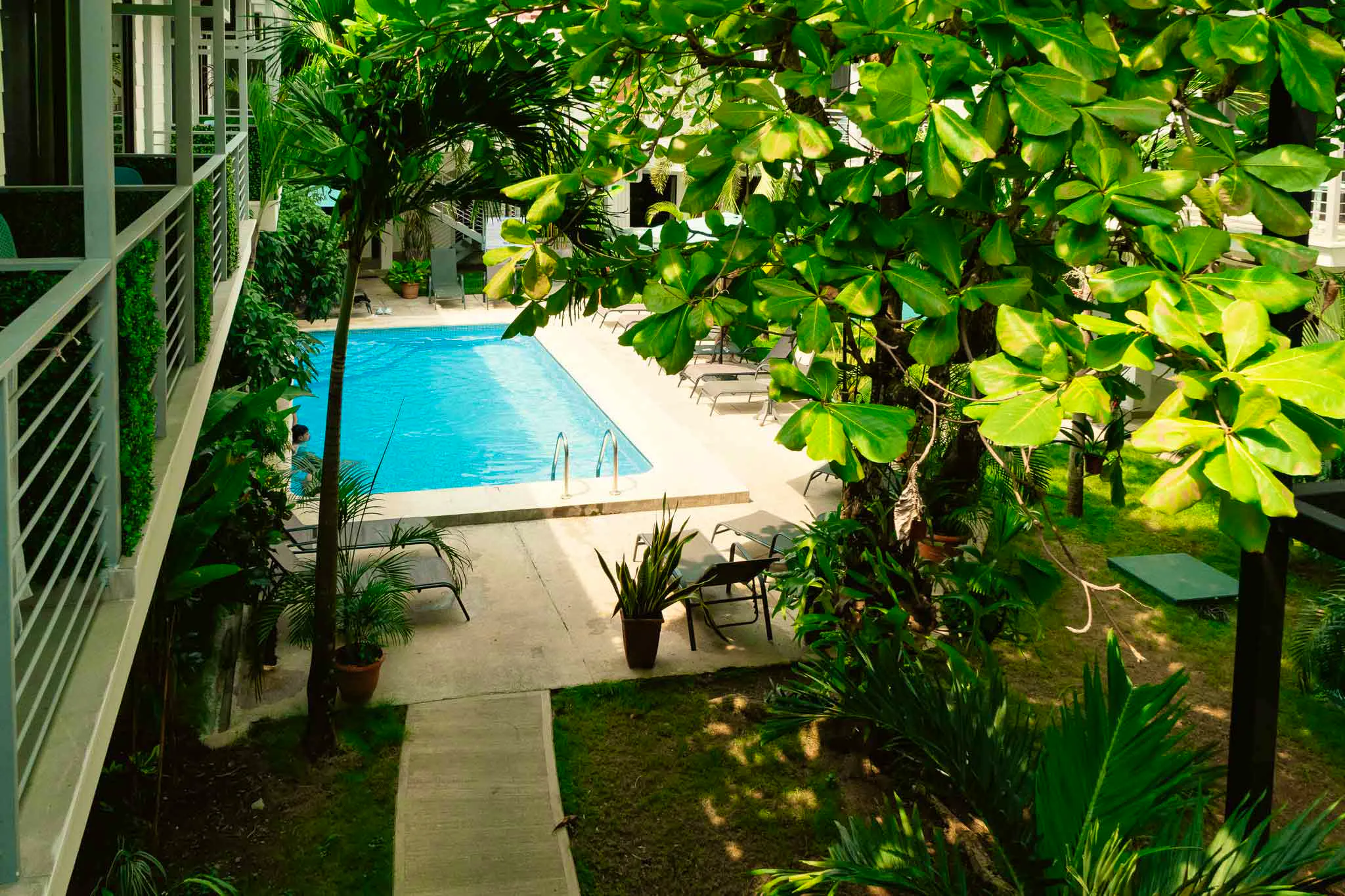 Pool Wide Mouth Frog Hotel&nbsp;&ndash;&nbsp;&copy;&nbsp;https://widemouthfrog.cr/