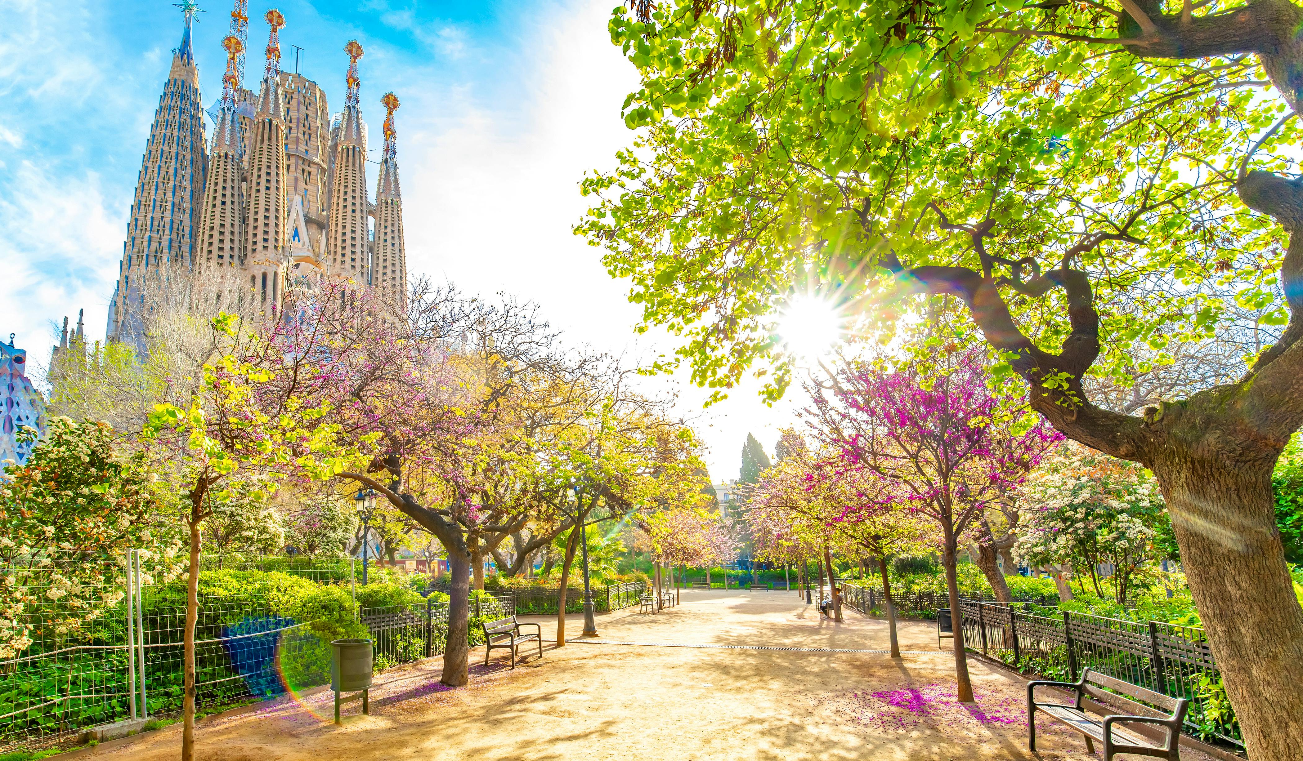 Zell am See - Patrick Fritzsche