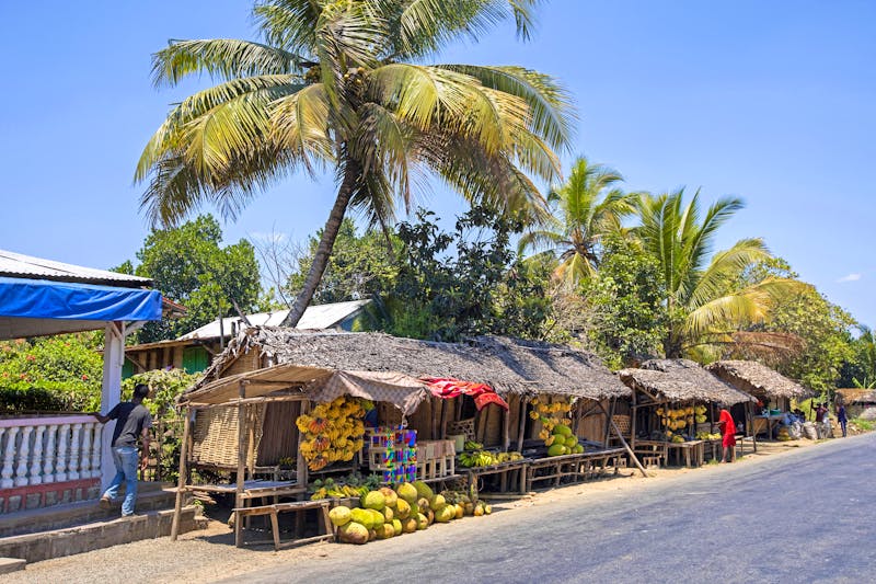 Straßenmarkt in Madagaskar - ©vladislav333222 - stock.adobe.com