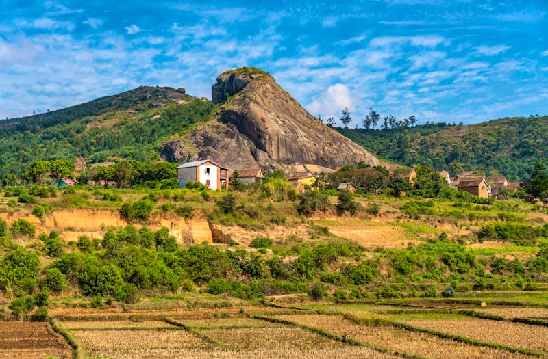Reisfelder auf dem Weg nach Andasibe - ©ggfoto - stock.adobe.com