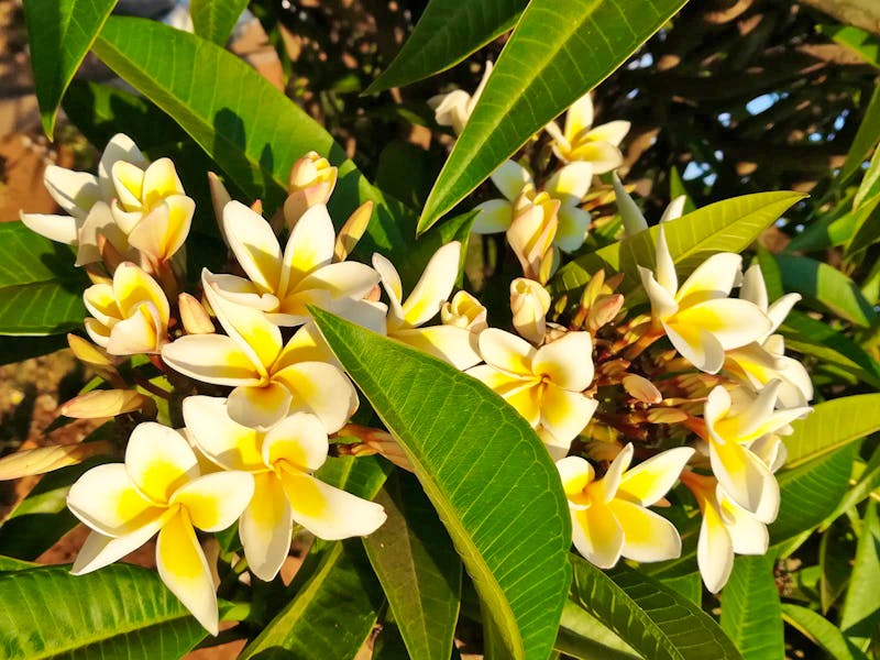 Wanderung im Montagne d’Ambre Nationalpark in Madagaskar - ©Jens Petzold - Eberhardt TRAVEL