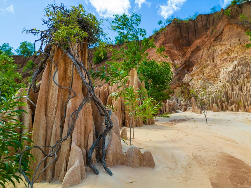 Tsingy rouge - die roten Felsnadeln im Norden Madagaskars - ©mirecca - stock.adobe.com