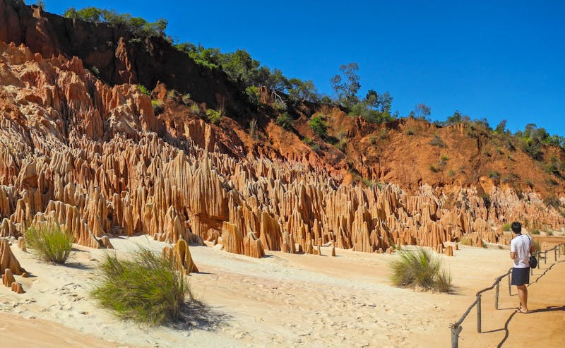 Tsingy rouge - die roten Felsnadeln im Norden Madagaskars - ©Tobias - stock.adobe.com