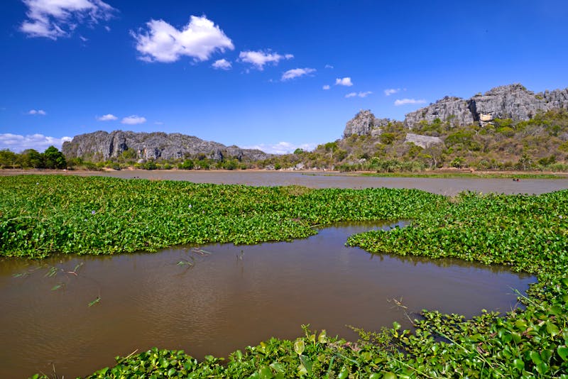 See mit Schwimmblattpflanzen im Nationalpark Ankarana - ©bennytrapp - stock.adobe.com