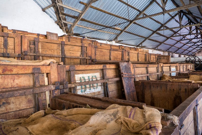 Kakao-Plantage bei Ambanja auf Madagaskar - ©Tobias - stock.adobe.com