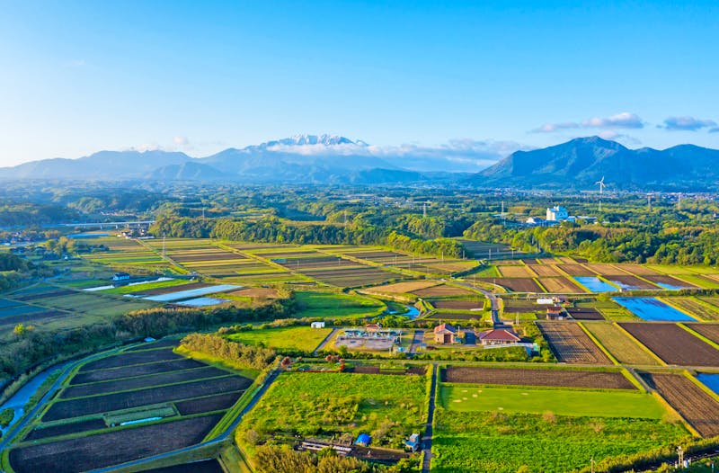 Reisefelder in der Präfektur Tottori - &copy;Joshua Daniels - stock.adobe.com