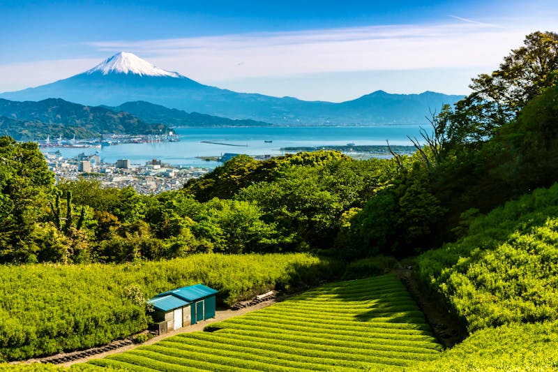 Shimizu und Mount Fuji in Japan - &copy;jpimage - stock.adobe.com