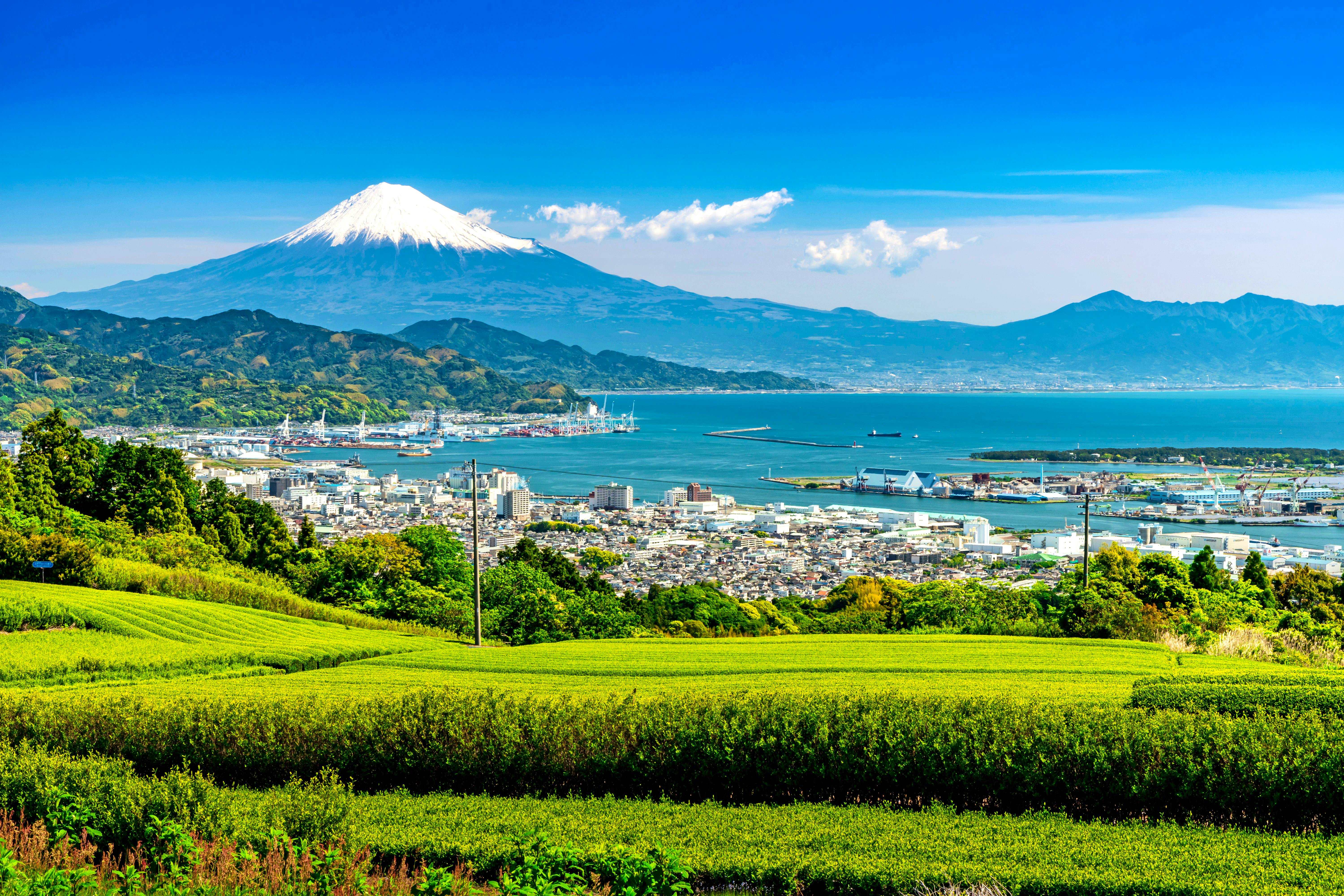 Zell am See - Patrick Fritzsche