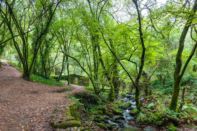 Flussweg da Pedra e da Auga in Galicien, Spanien - &copy;roberto regatos - stock.adobe.com