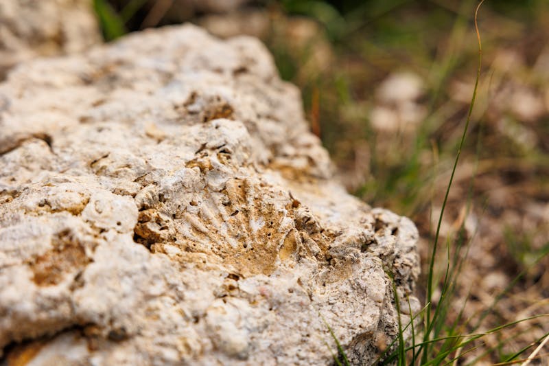 Fossilienweg auf der Azoren-Insel Santa Maria - &copy;Ayla Harbich - stock.adobe.com