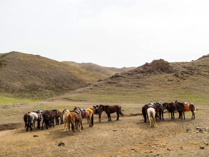 Geierschlucht (Yolyn Am) im Gobi-Gurvan-Saikhan-Nationalpark - &copy;Stock Photos 2000 - stock.adobe.com