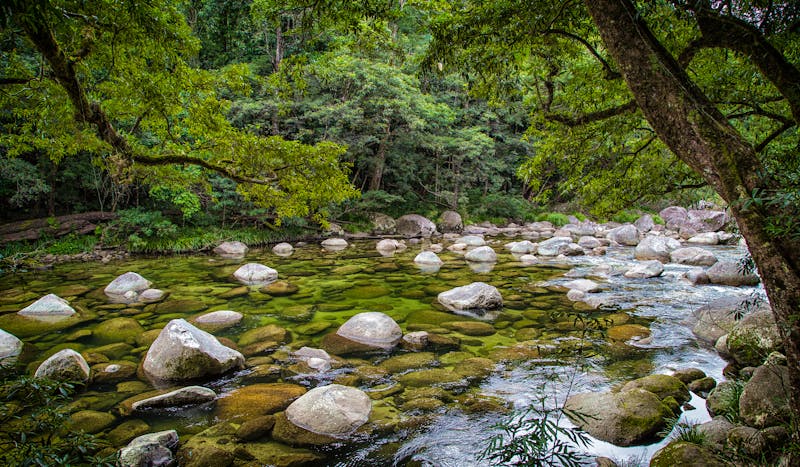 Mossman Gorge in Queensland, Australien - &copy;pominoz1966 - stock.adobe.com