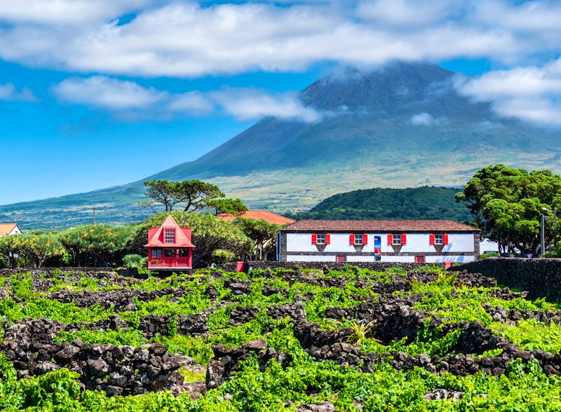 Wein-Museum und Weinfelder auf der Azoren-Insel Pico - &copy;Alex - stock.adobe.com