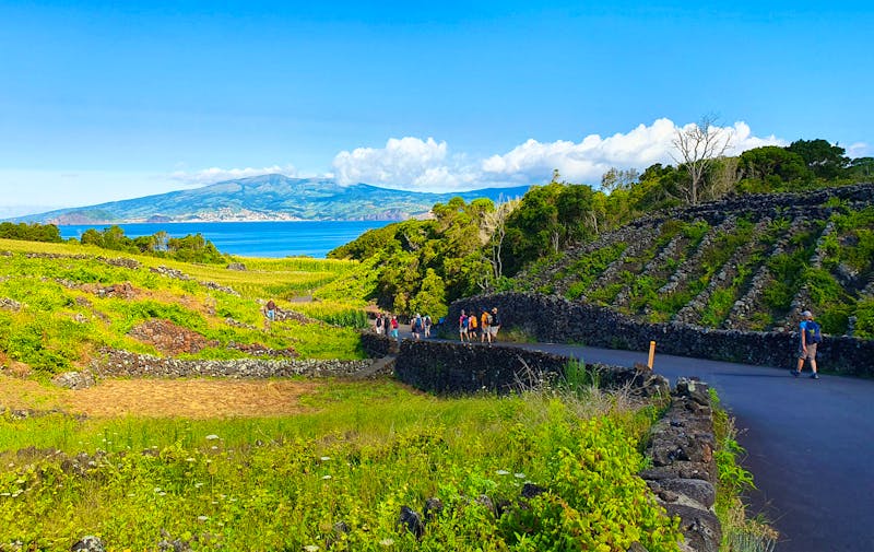 Wanderung durch das Verdelho Weinanbaugebiet auf Pico - &copy;Ria Heilmann - Eberhardt TRAVEL